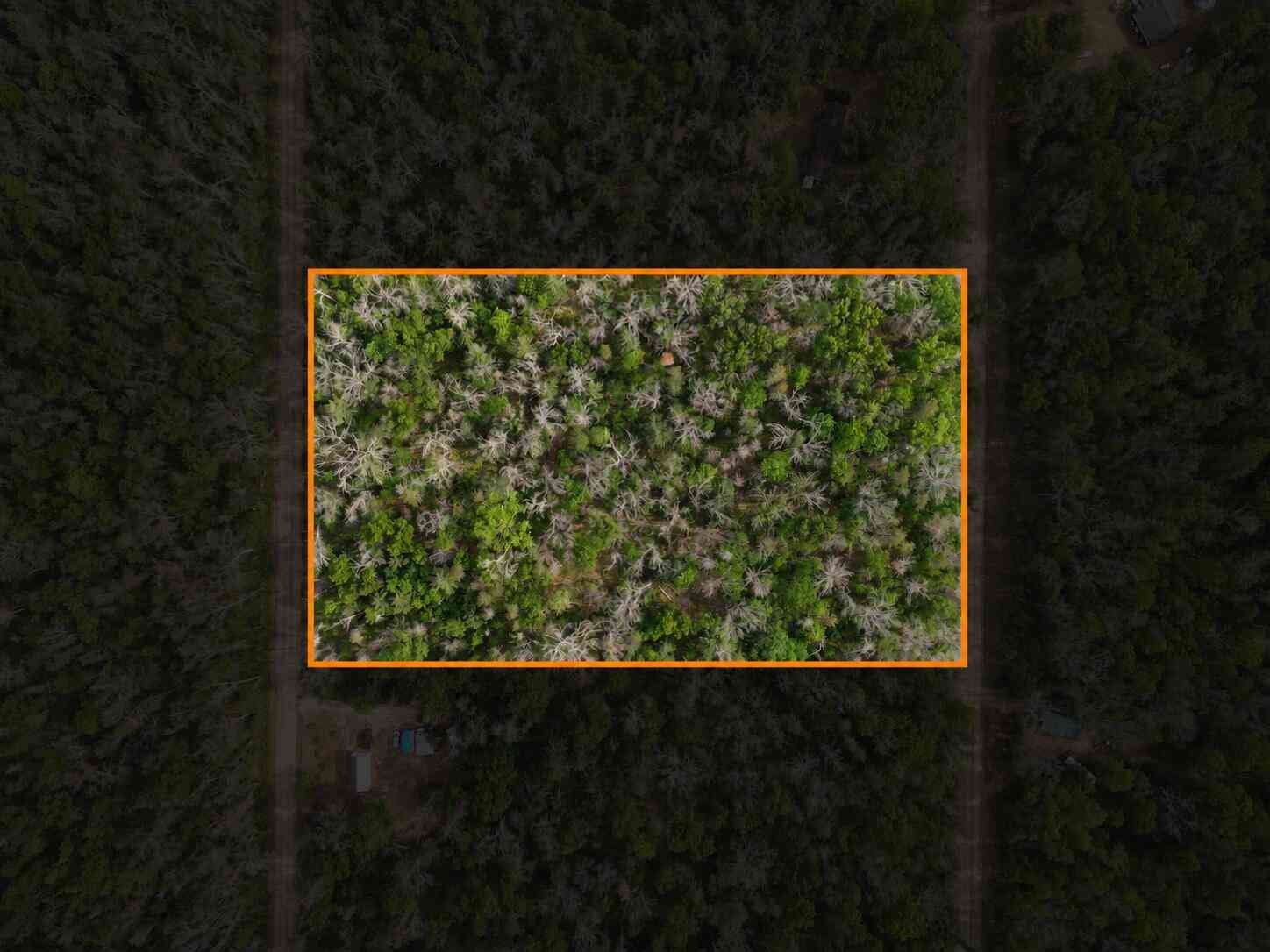 Vacant Land For Sale - Dorsey Drive<br/> Baldwin, MI 49304