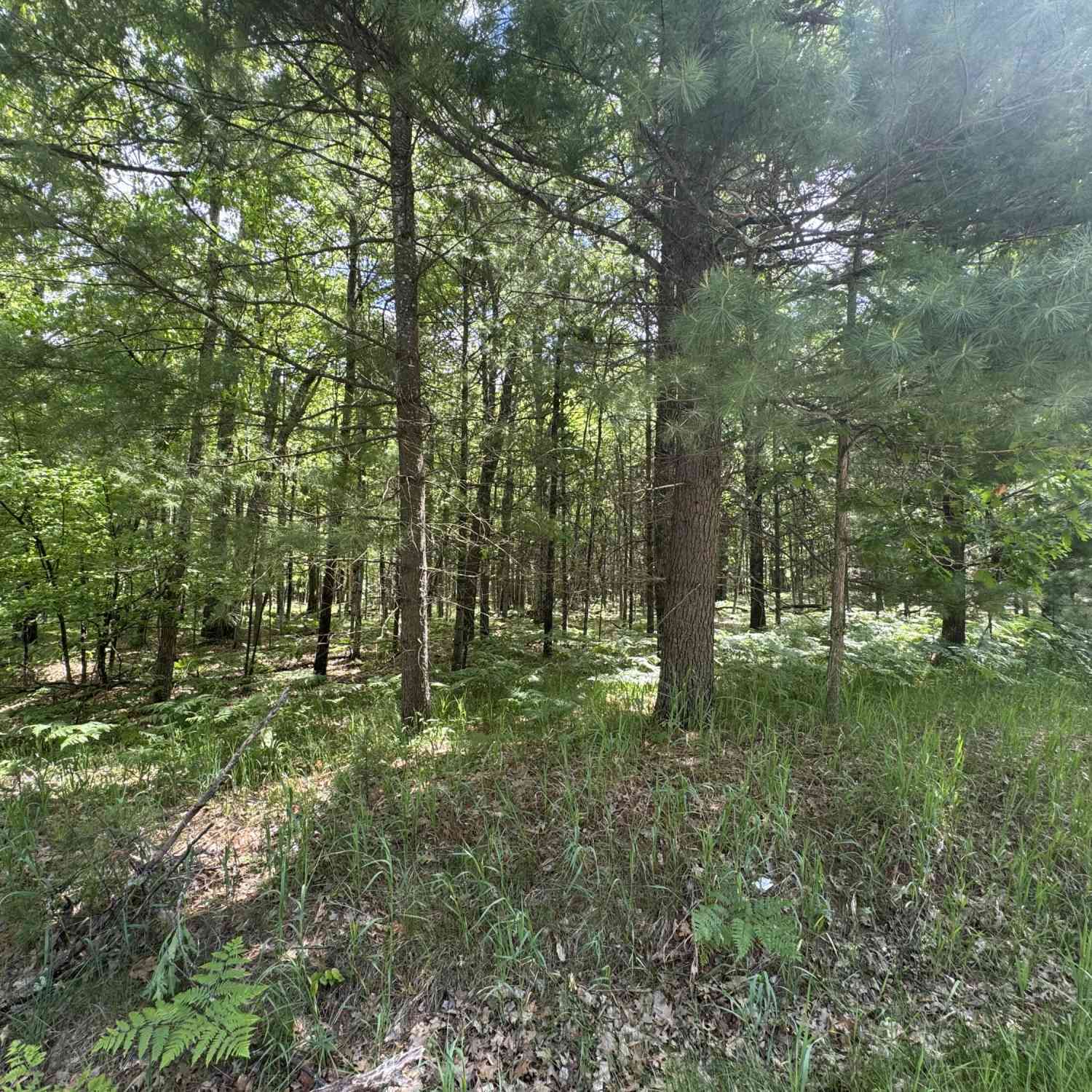 Vacant Land For Sale - 2830 W Pierce Drive<br/> Brohman, MI 49312