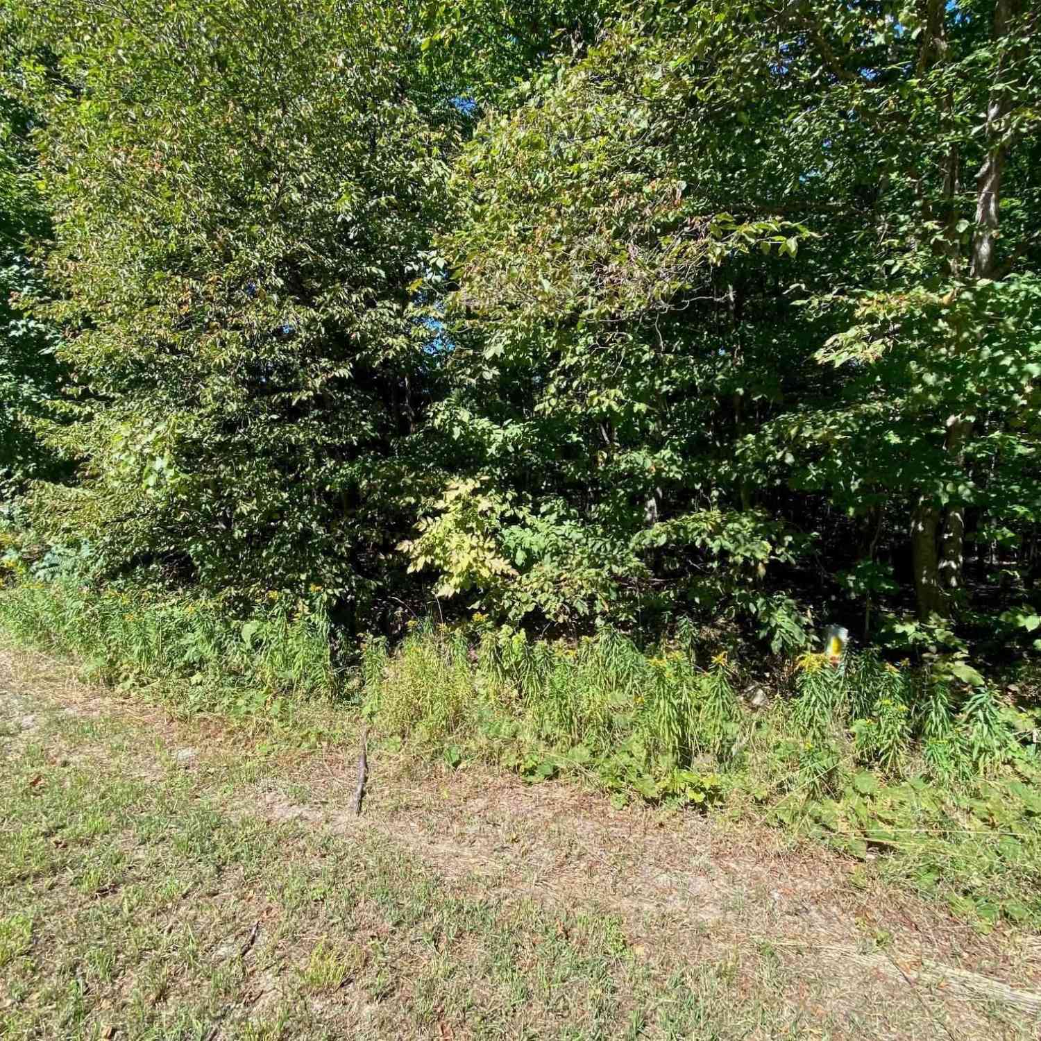 Vacant Land For Sale - LOT 130 E Sugar Maple Drive<br/> Cedar, MI 49621