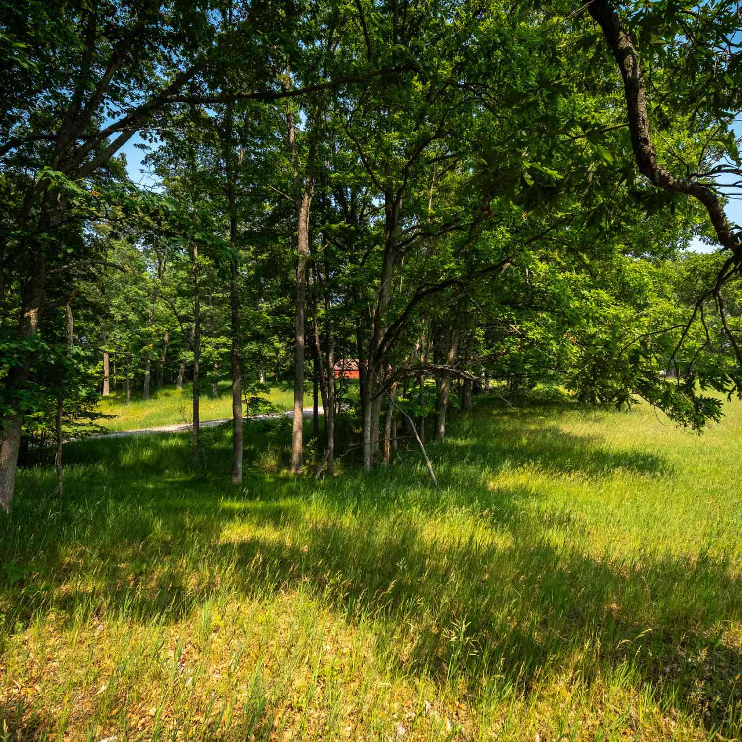 Vacant Land For Sale - 8161 N Hunters Ridge Drive<br/> Irons, MI 49644