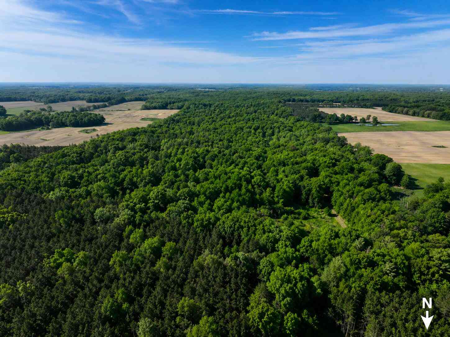 Vacant Land For Sale - 3685 Cypress Road<br/> Blanchard, MI 49310