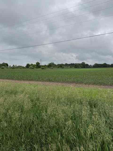 Vacant Land For Sale - V/L Satterlee Road<br/> Greenville, MI 48838