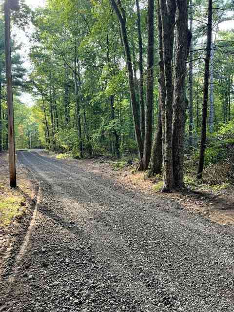 Vacant Land For Sale - 8268 S Ferris Avenue<br/> Newaygo, MI 49337