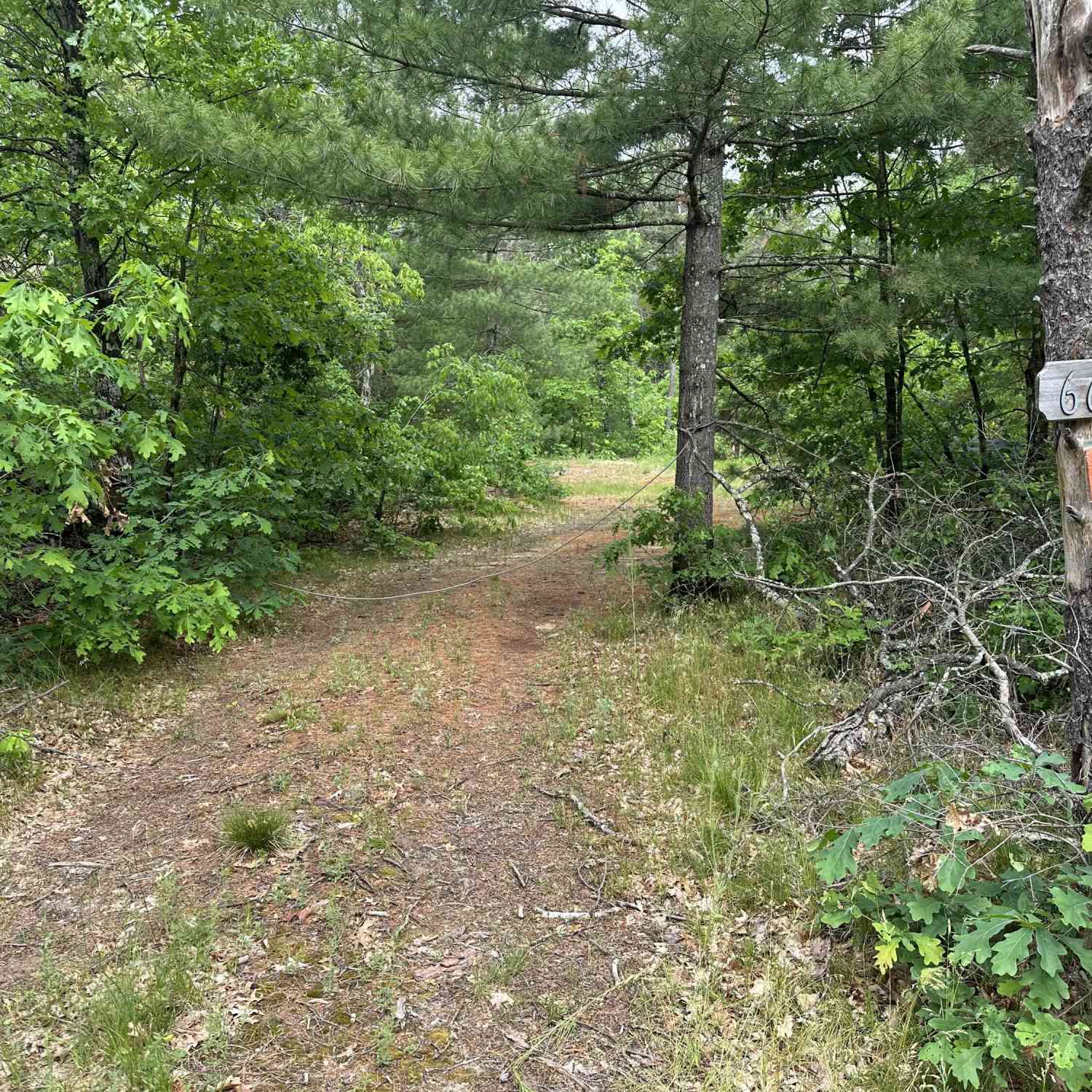 Vacant Land For Sale - 6667 S Dillard Street<br/> Baldwin, MI 49304