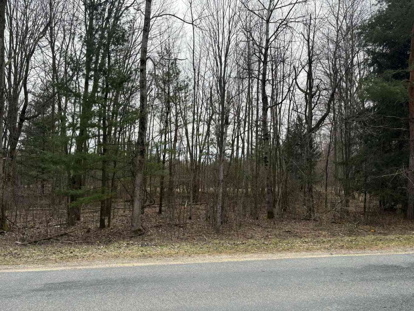 Vacant Land For Sale - 1512 22 Mile Road<br/> Kent City, MI 49330