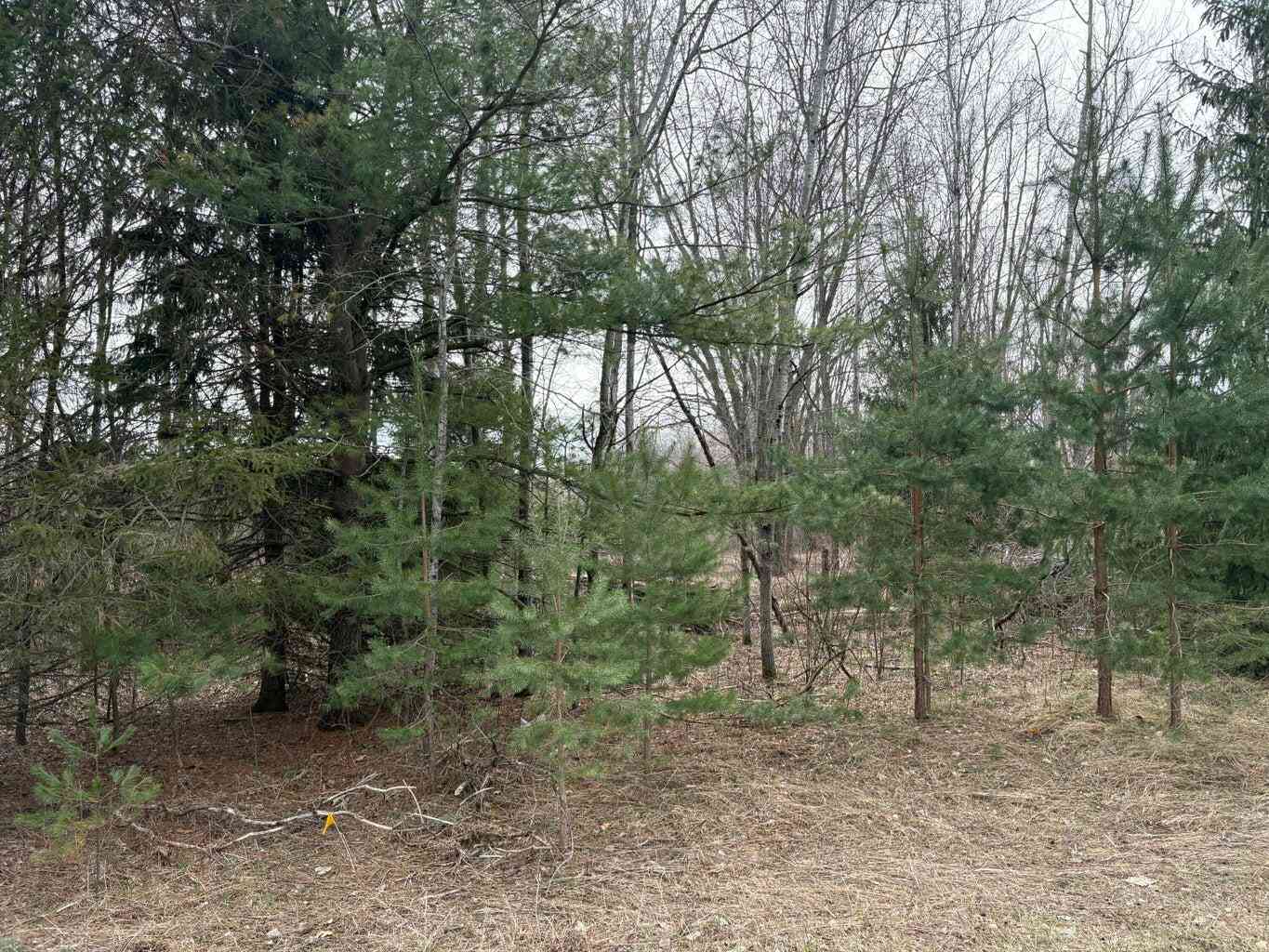 Vacant Land For Sale - 17850 Sparta Avenue<br/> Kent City, MI 49330