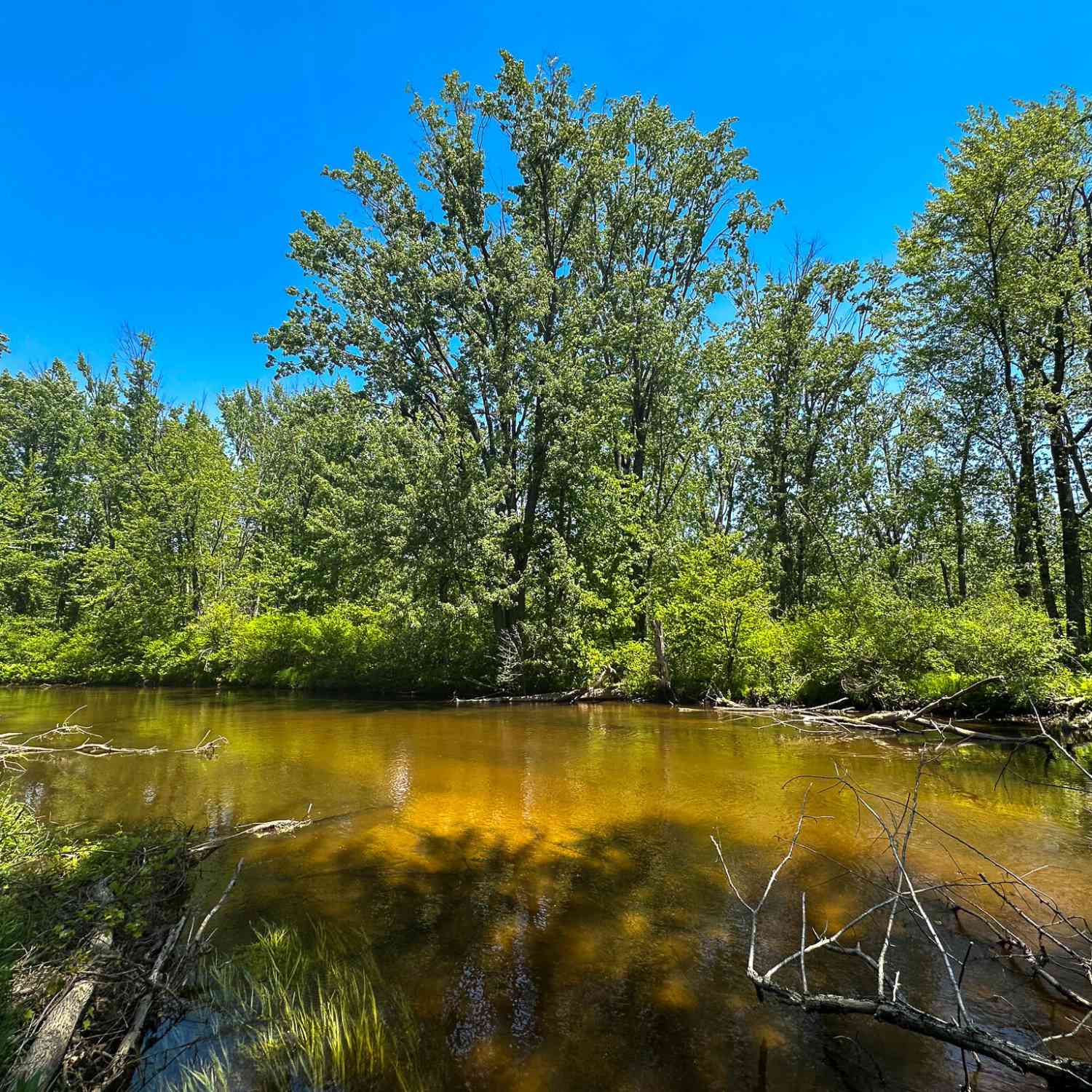 Vacant Land For Sale - 3804 E Wilson Road<br/> Custer, MI 49405