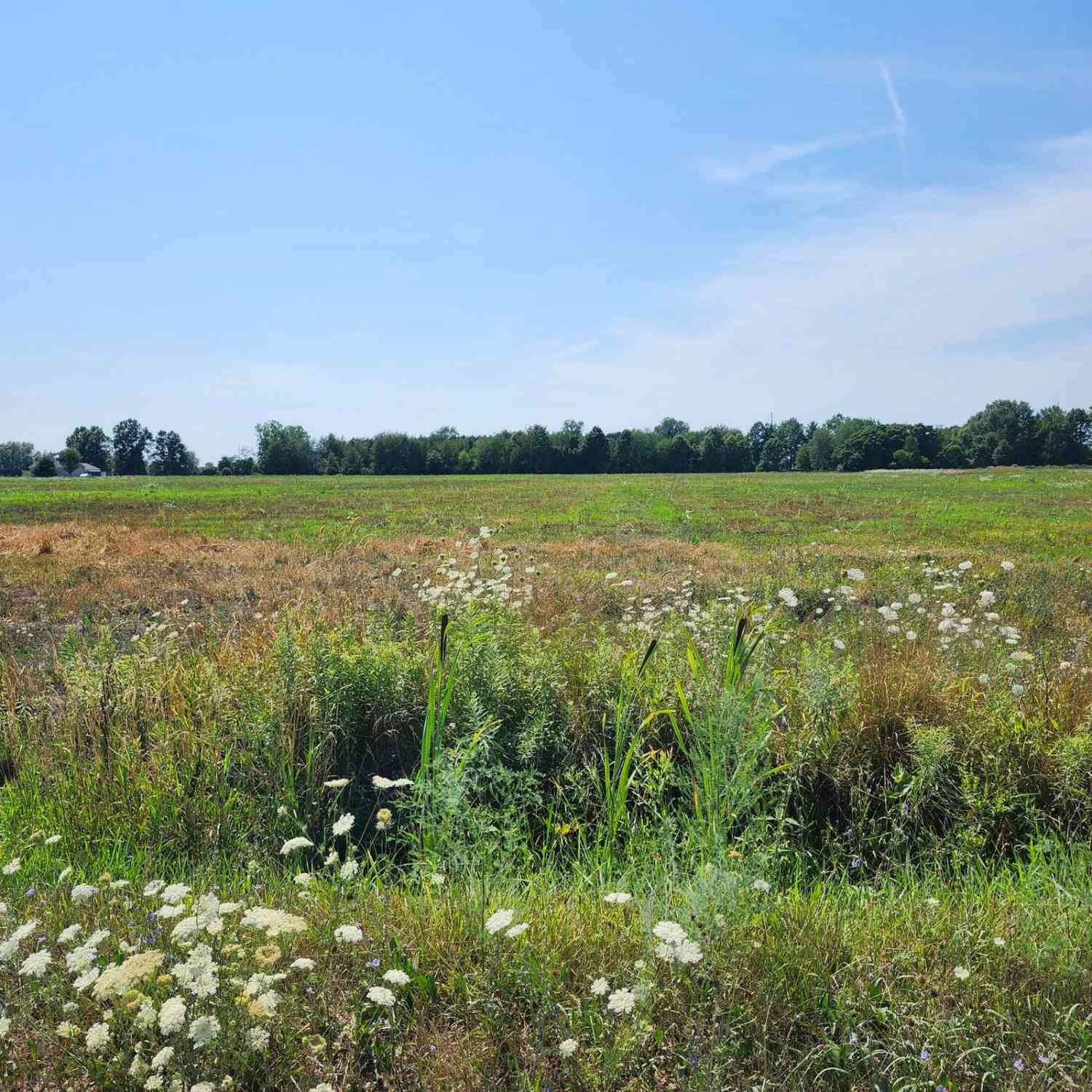 Vacant Land For Sale - 5425 88th Avenue<br/> Zeeland, MI 49464