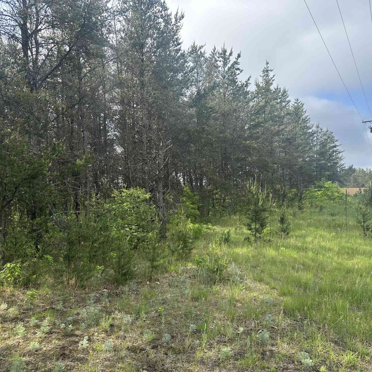 Vacant Land For Sale - 10424 N Merrillville Road<br/> Irons, MI 49644