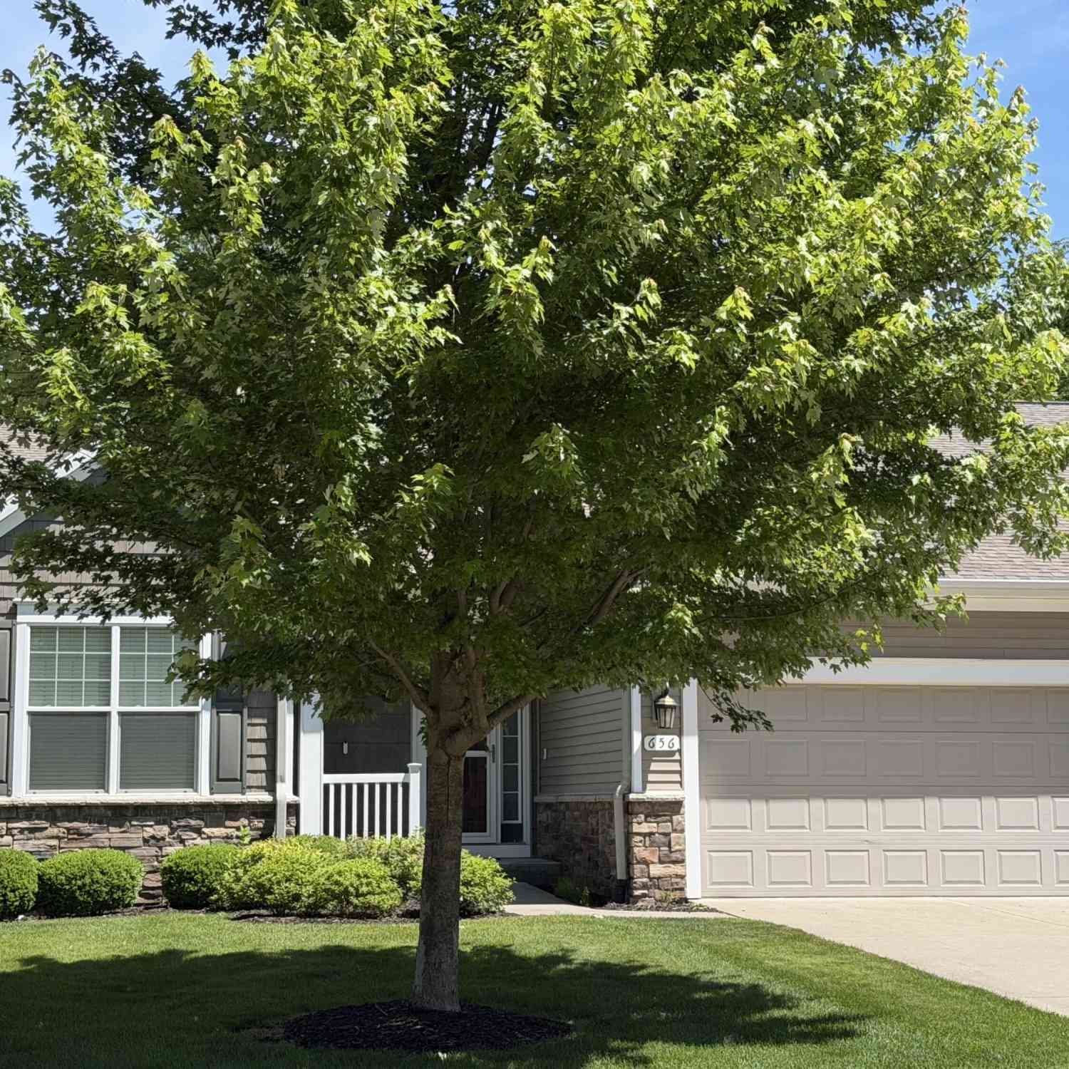 Condo For Sale - 656 Wynding Oaks<br/> Kalamazoo, MI 49006