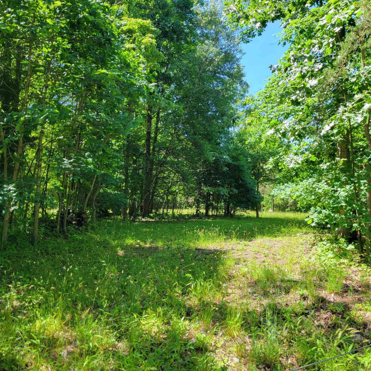 Vacant Land For Sale - V/L 26th Avenue<br/> South Haven, MI 49090