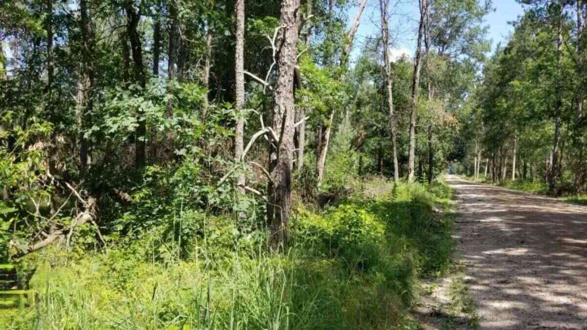 Vacant Land For Sale - PARCEL 4 Grove Street<br/> Baldwin, MI 49304