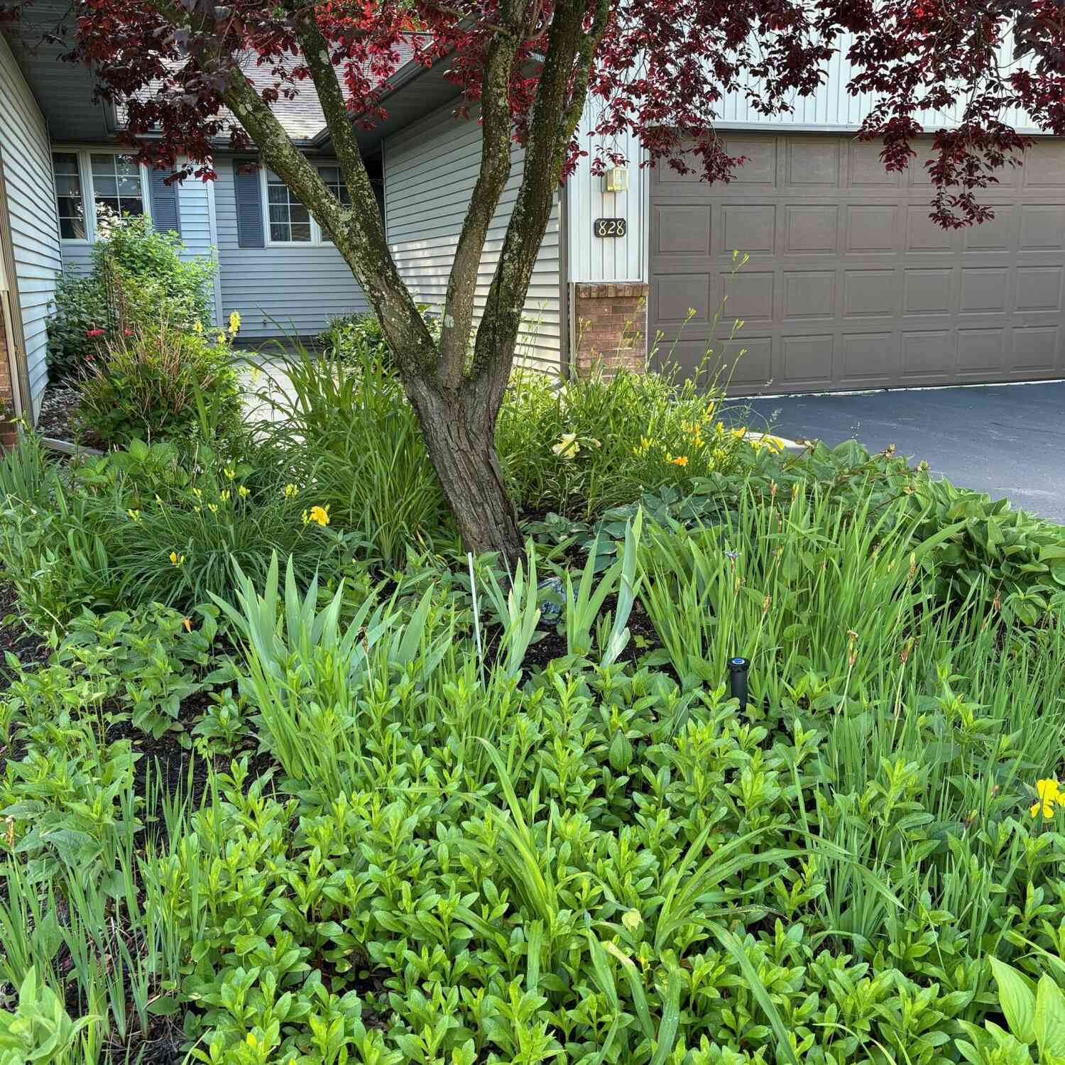 Condo For Sale - 828 Highbanks Drive #21<br/> Allegan, MI 49010