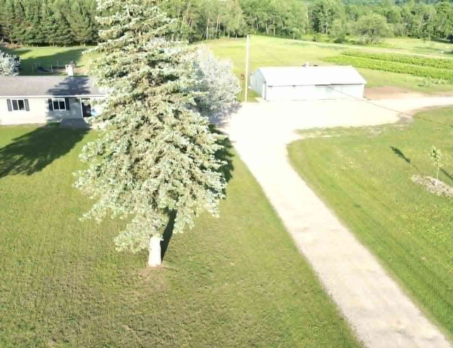 Homes For Sale - 5236 110th Avenue<br/> Evart, MI 49631