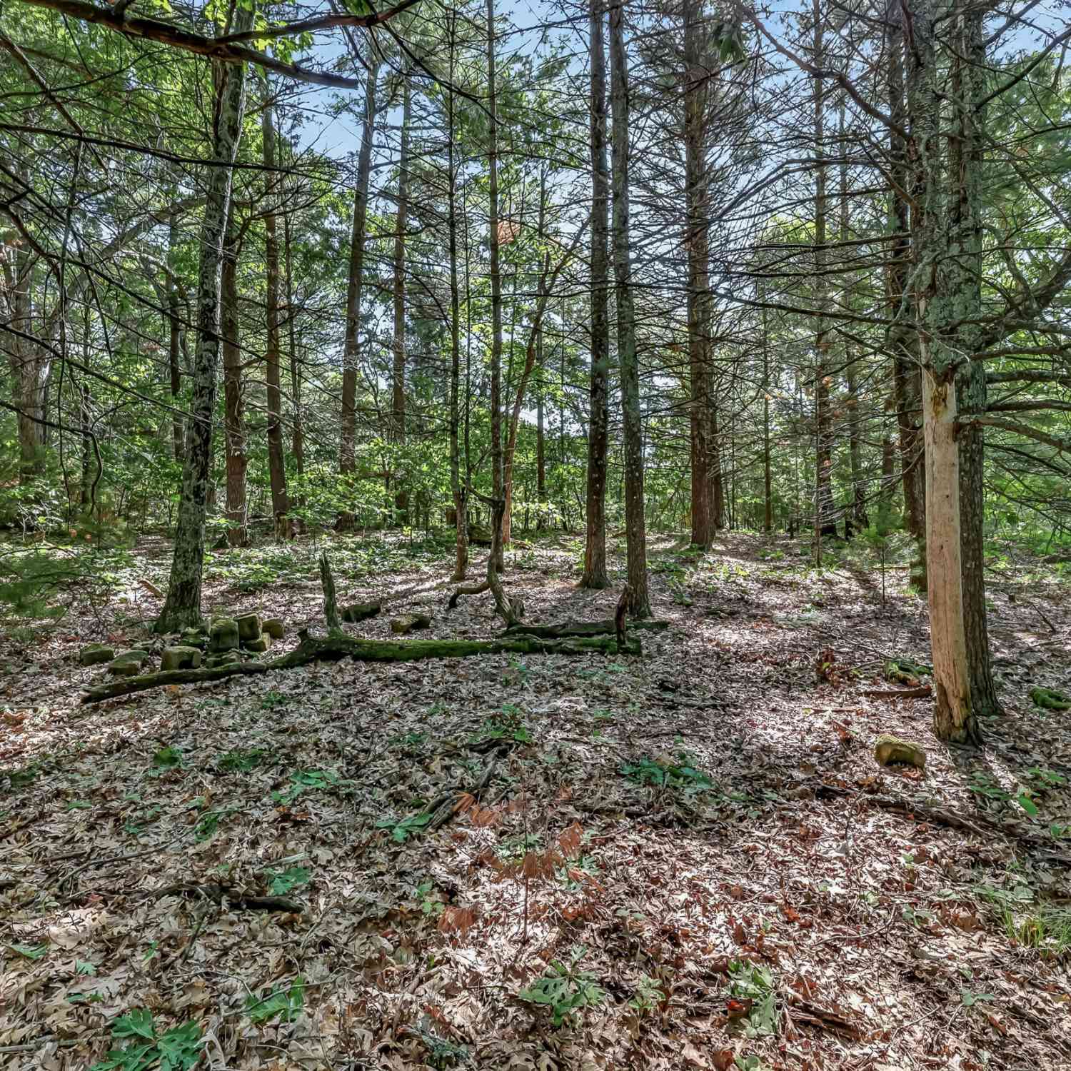 Vacant Land For Sale - VL W Michigan Road #B<br/> Twin Lake, MI 49457