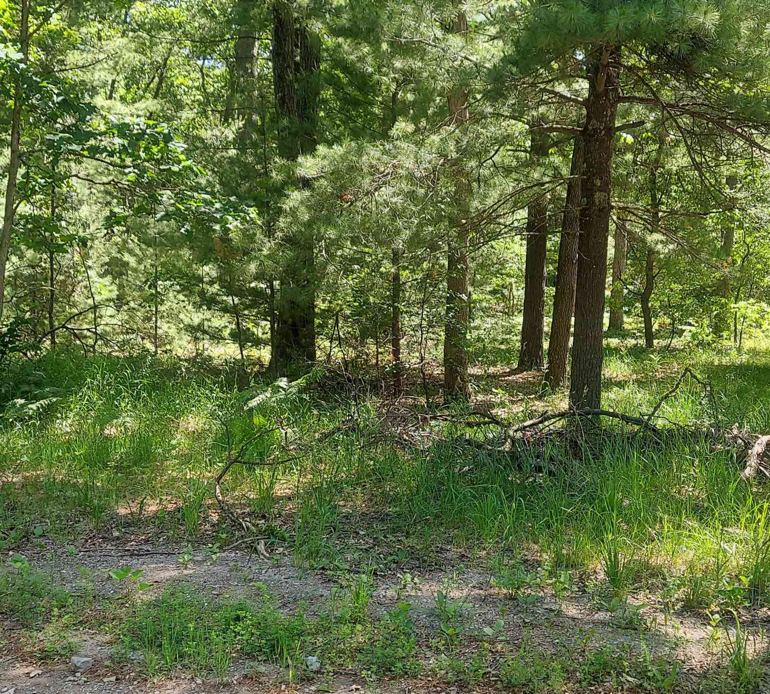 Vacant Land For Sale - V/L Beverlyway Drive<br/> Twin Lake, MI 49457