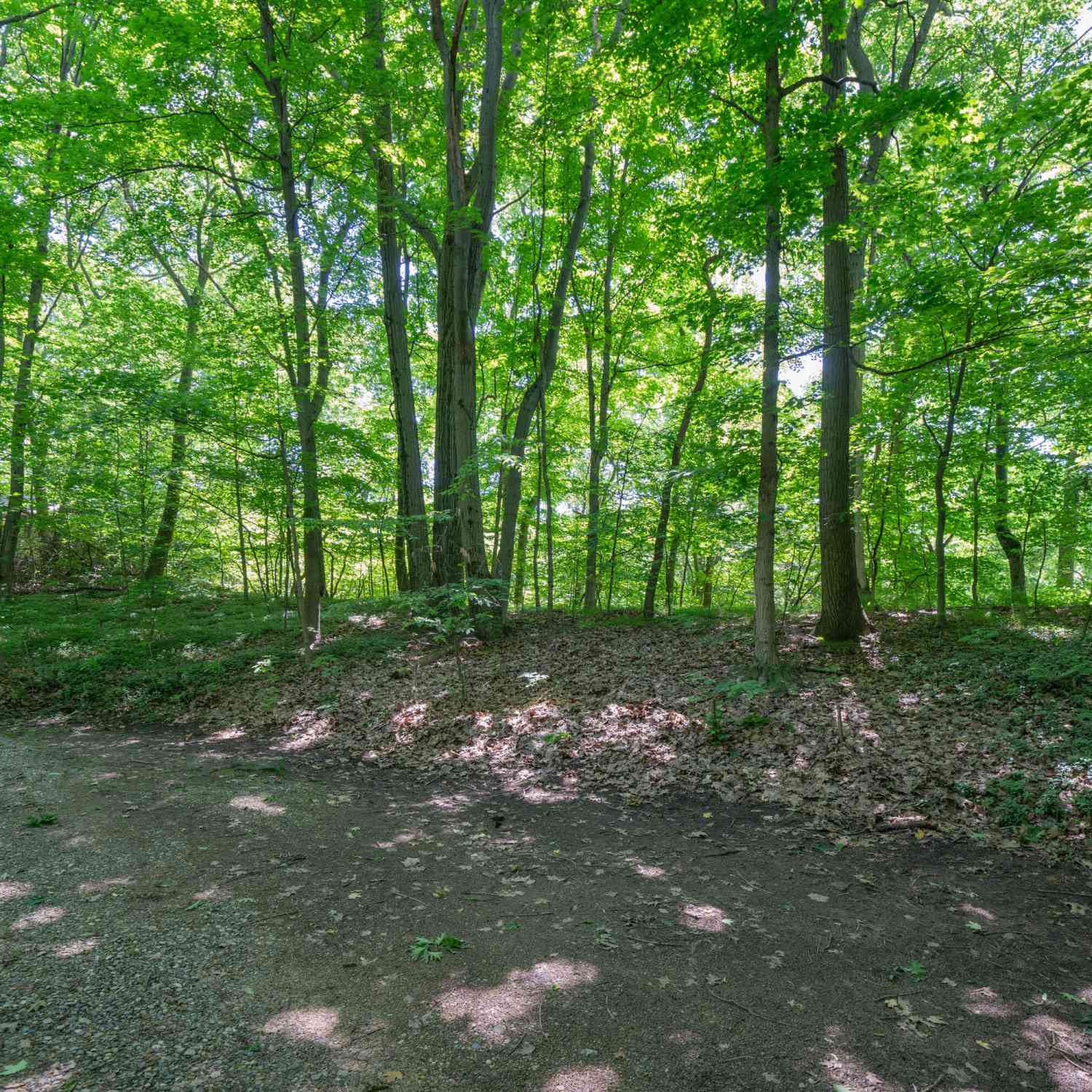 Vacant Land For Sale - VL Ramblewood Circle<br/> Covert, MI 49043