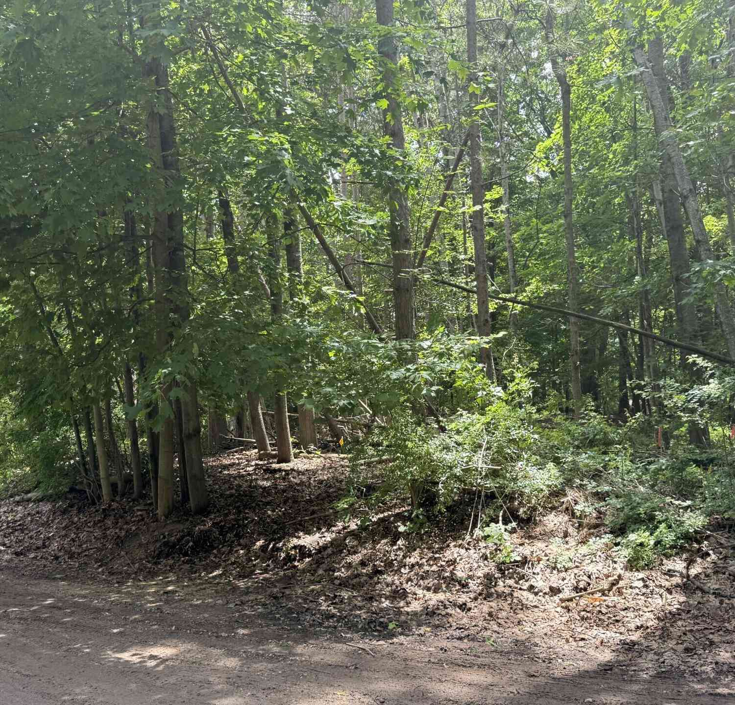 Vacant Land For Sale - Longbridge Road<br/> Pentwater, MI 49449