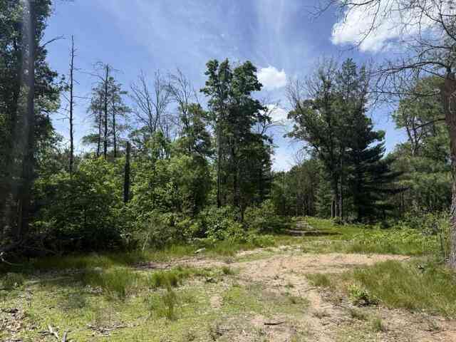 Vacant Land For Sale - PARCEL 2 Grove Street<br/> Baldwin, MI 49304