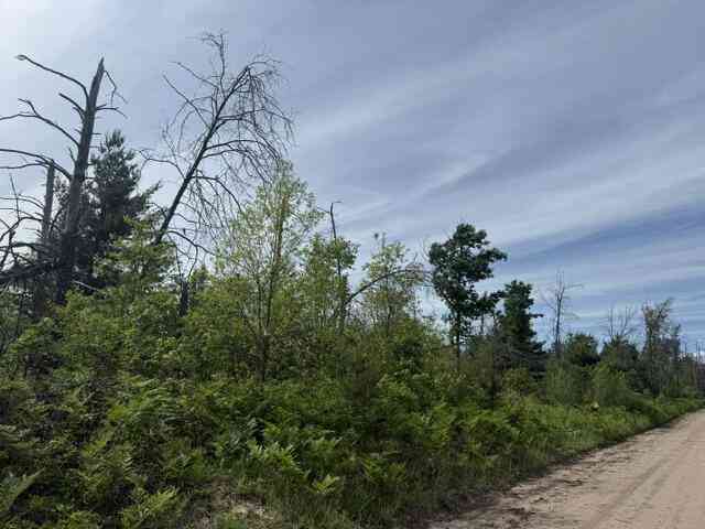 Vacant Land For Sale - PARCEL 3 Nelson Road<br/> Idlewild, MI 49642