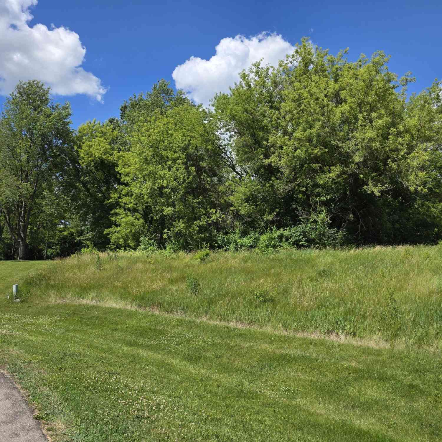 Vacant Land For Sale - LOT 19 Burning Tree Lane<br/> Jackson, MI 49201