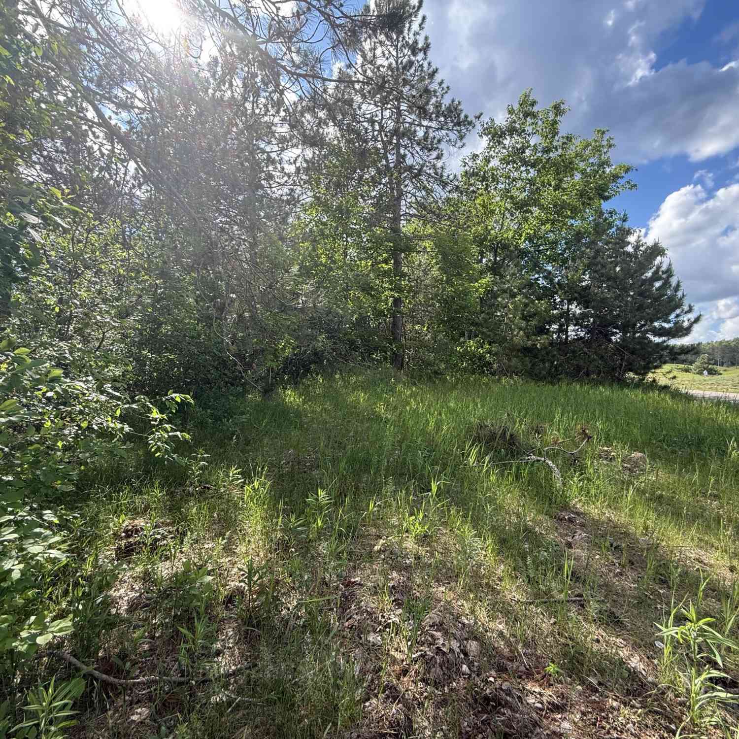 Vacant Land For Sale - V/l Bear Paw Trail #10<br/> Otsego County, Vanderbilt, MI 49795