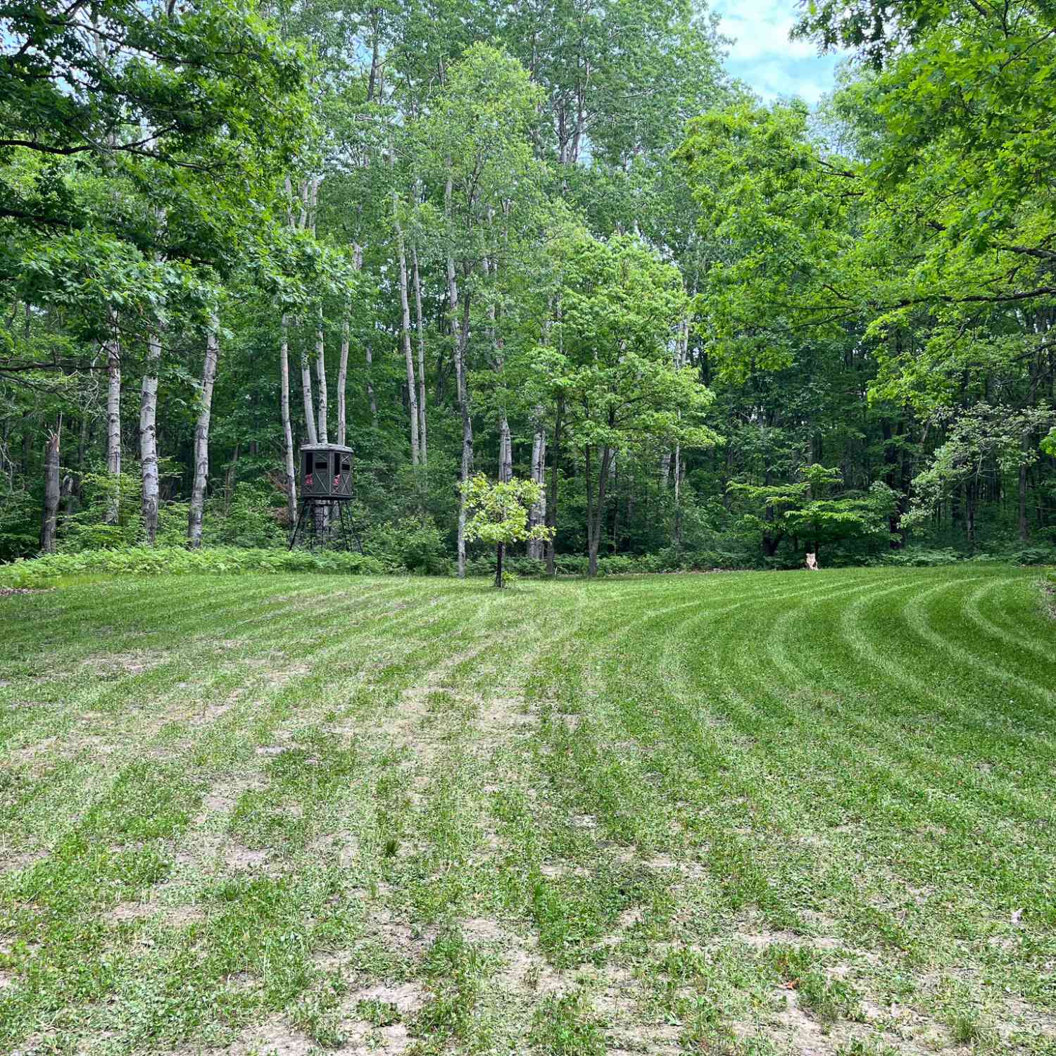 Vacant Land For Sale - V/L Peach Avenue<br/> White Cloud, MI 49349