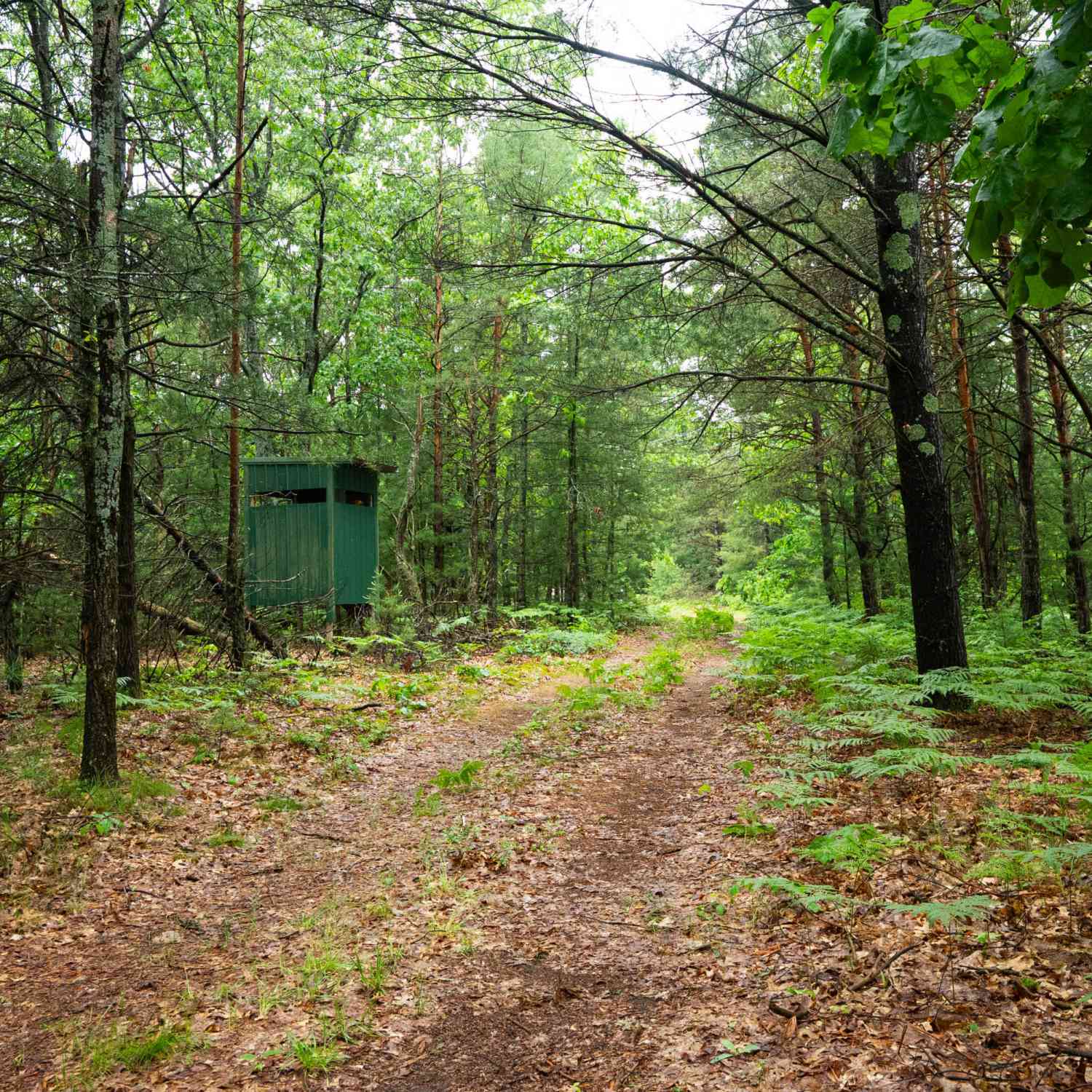 Vacant Land For Sale - V/L 8.09A N Centerline Road<br/> White Cloud, MI 49349