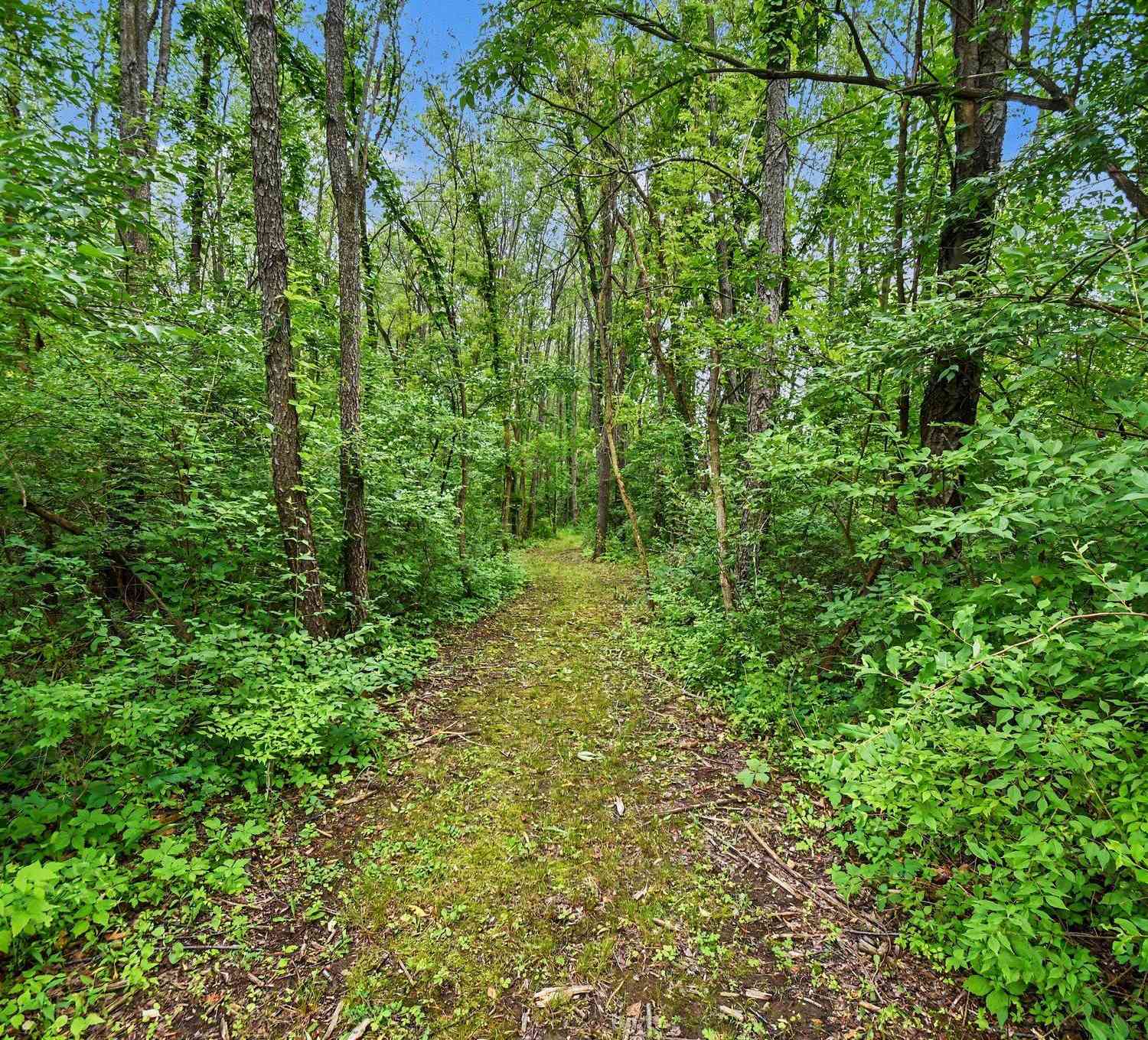 Vacant Land For Sale - V/L Forest Shores Drive #9 LOT<br/> Cassopolis, MI 49031