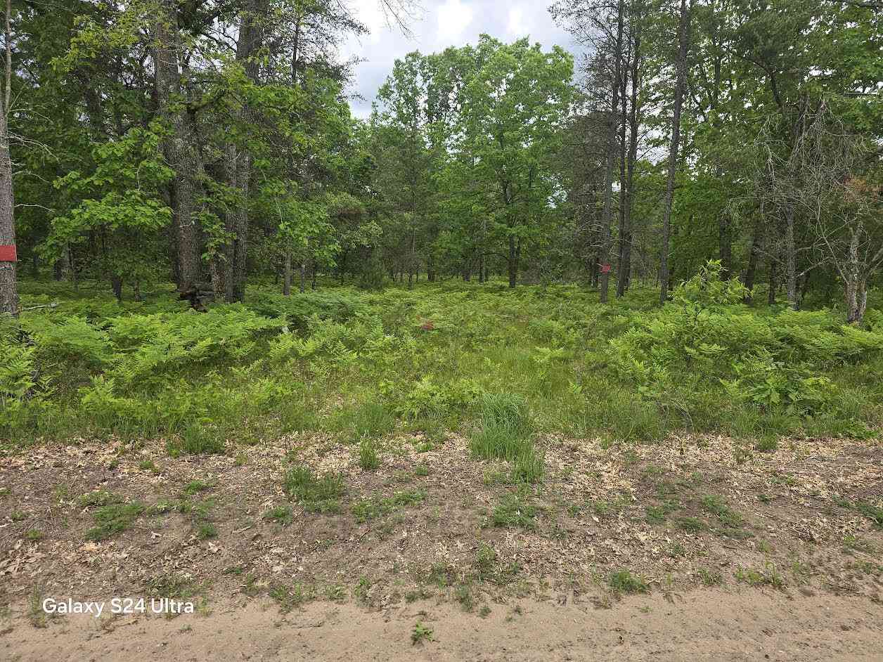 Vacant Land For Sale - 0000 S Forman Road #3<br/> Baldwin, MI 49304