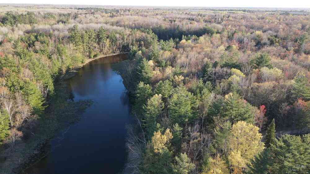 Vacant Land For Sale - LOT 9 V/l Wildwood Road<br/> Gladwin County, Alger, MI 48610