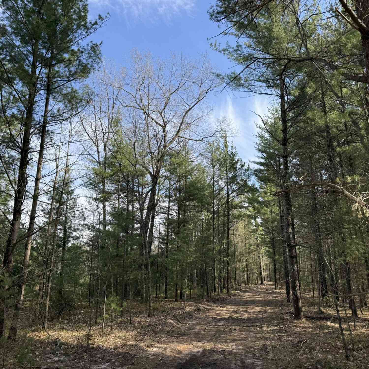 Vacant Land For Sale - PARCEL D Critter Trail<br/> Manistee, MI 49660