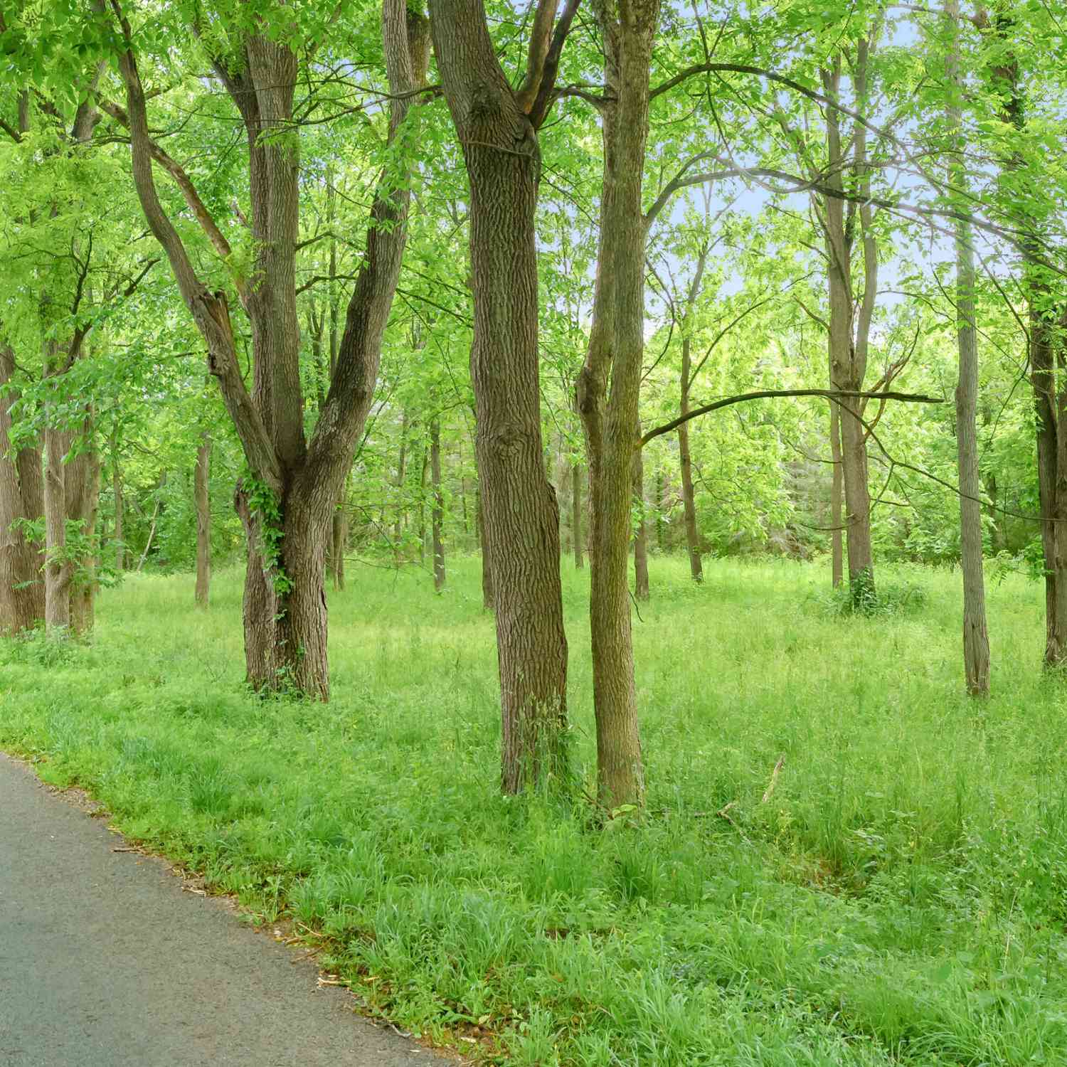 Vacant Land For Sale - 6926 W H Avenue<br/> Kalamazoo, MI 49009