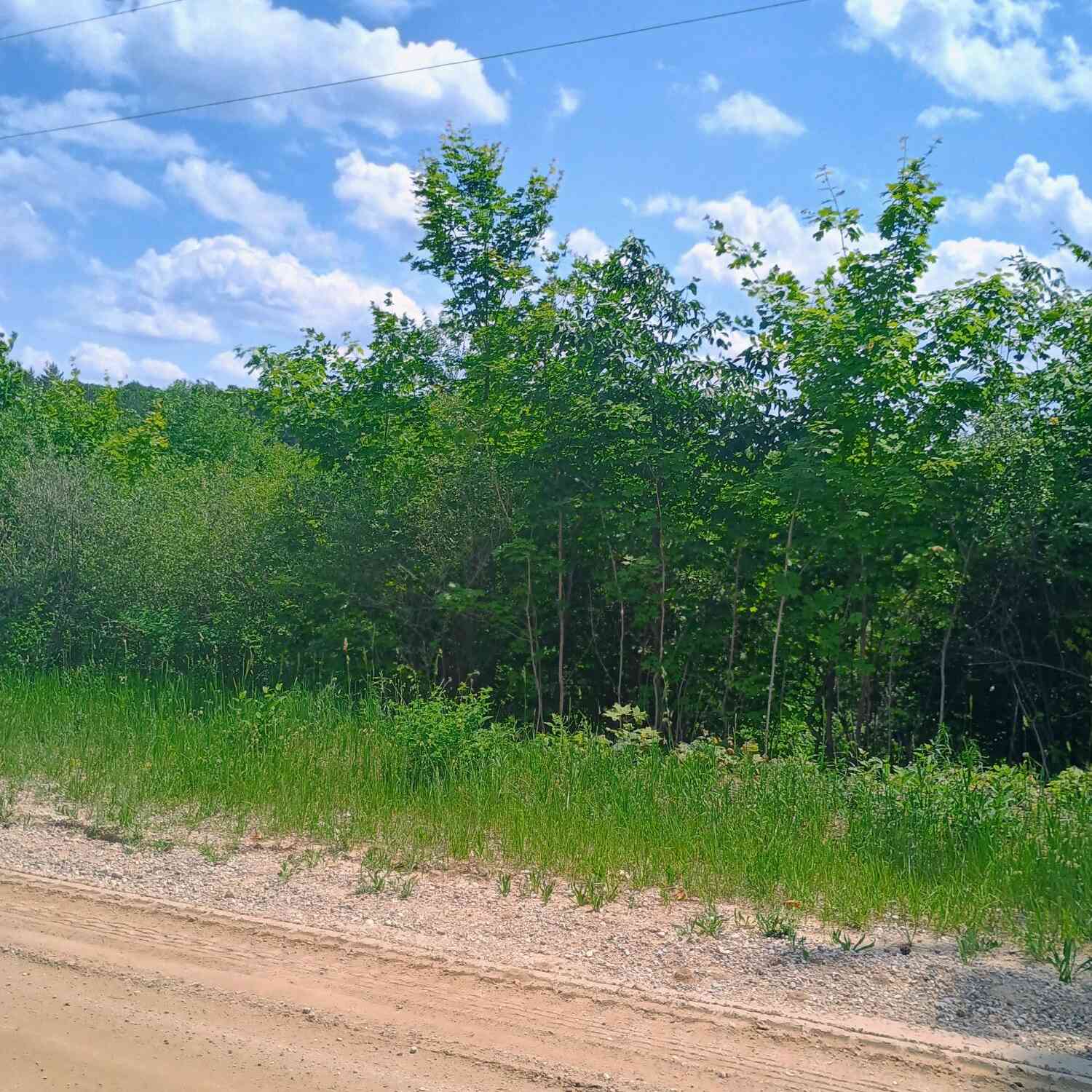 Vacant Land For Sale - 000 Pontius Road<br/> Kalkaska, MI 49646