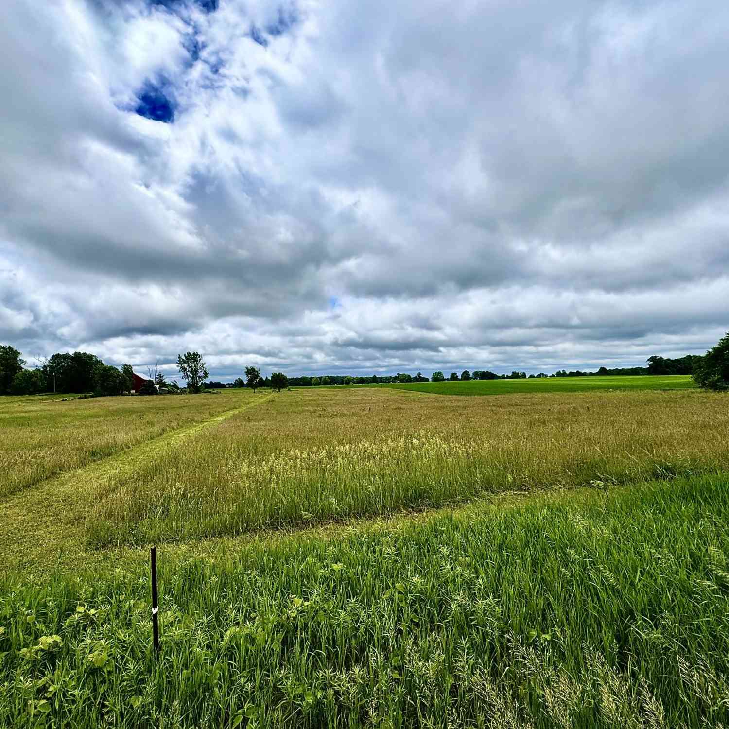 Vacant Land For Sale - V/L W Lake Montcalm Road #PARCEL D<br/> Howard City, MI 49329