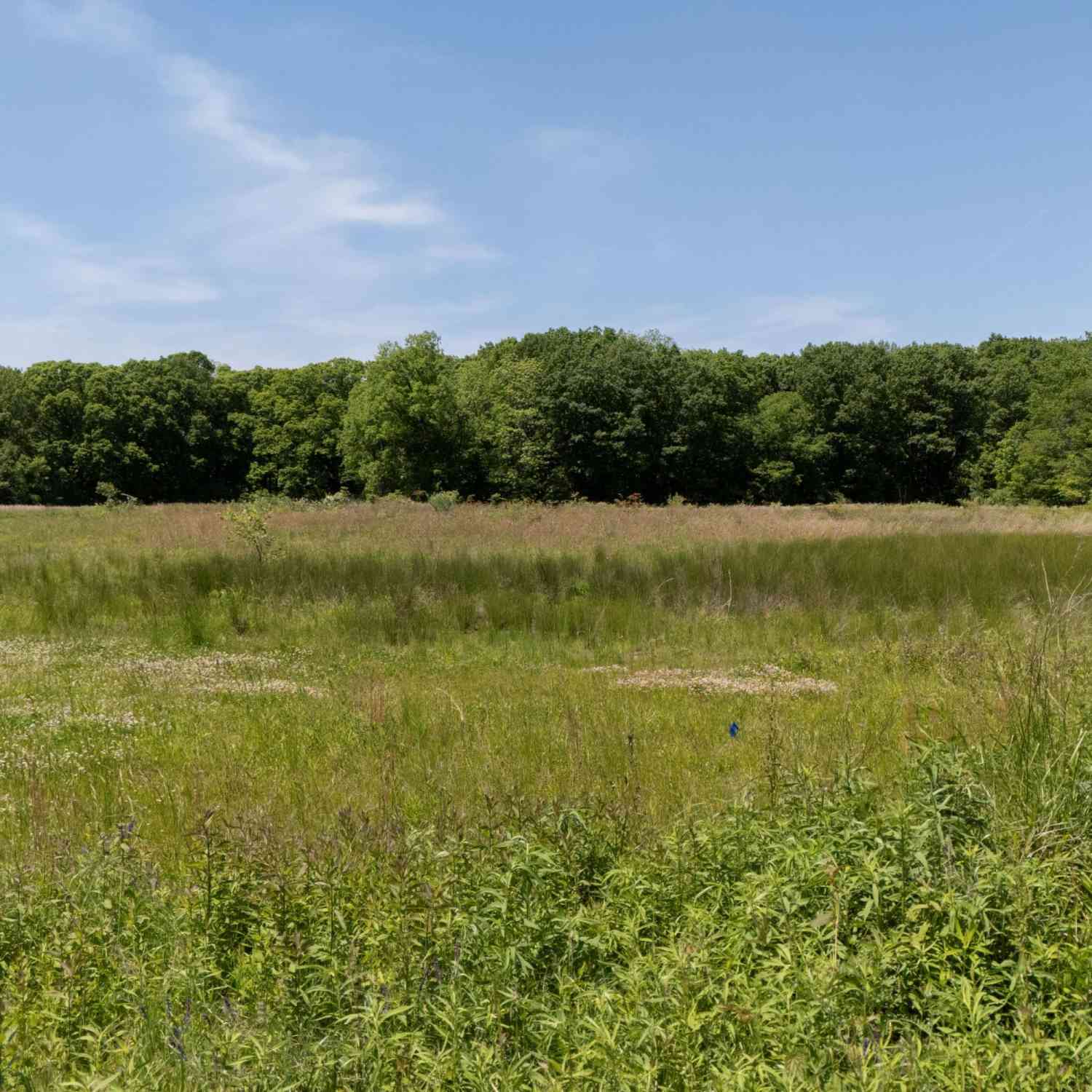 Vacant Land For Sale - V/L #1 Lakeside Road<br/> New Buffalo, MI 49117