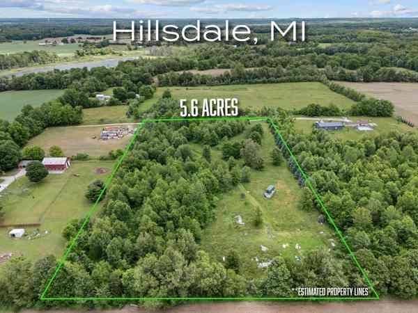 Vacant Land For Sale - 6691 W Hallett Road<br/> Hillsdale, MI 49242