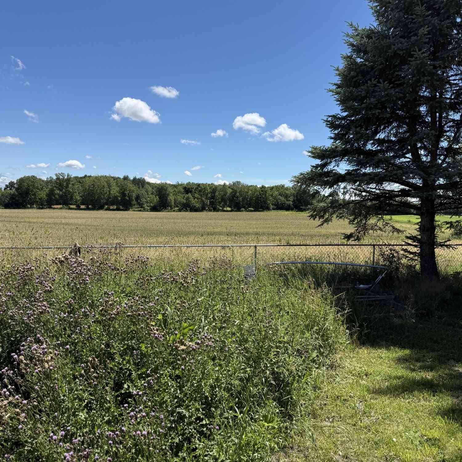 Vacant Land For Sale - 3008 Us-12<br/> Galien, MI 49113