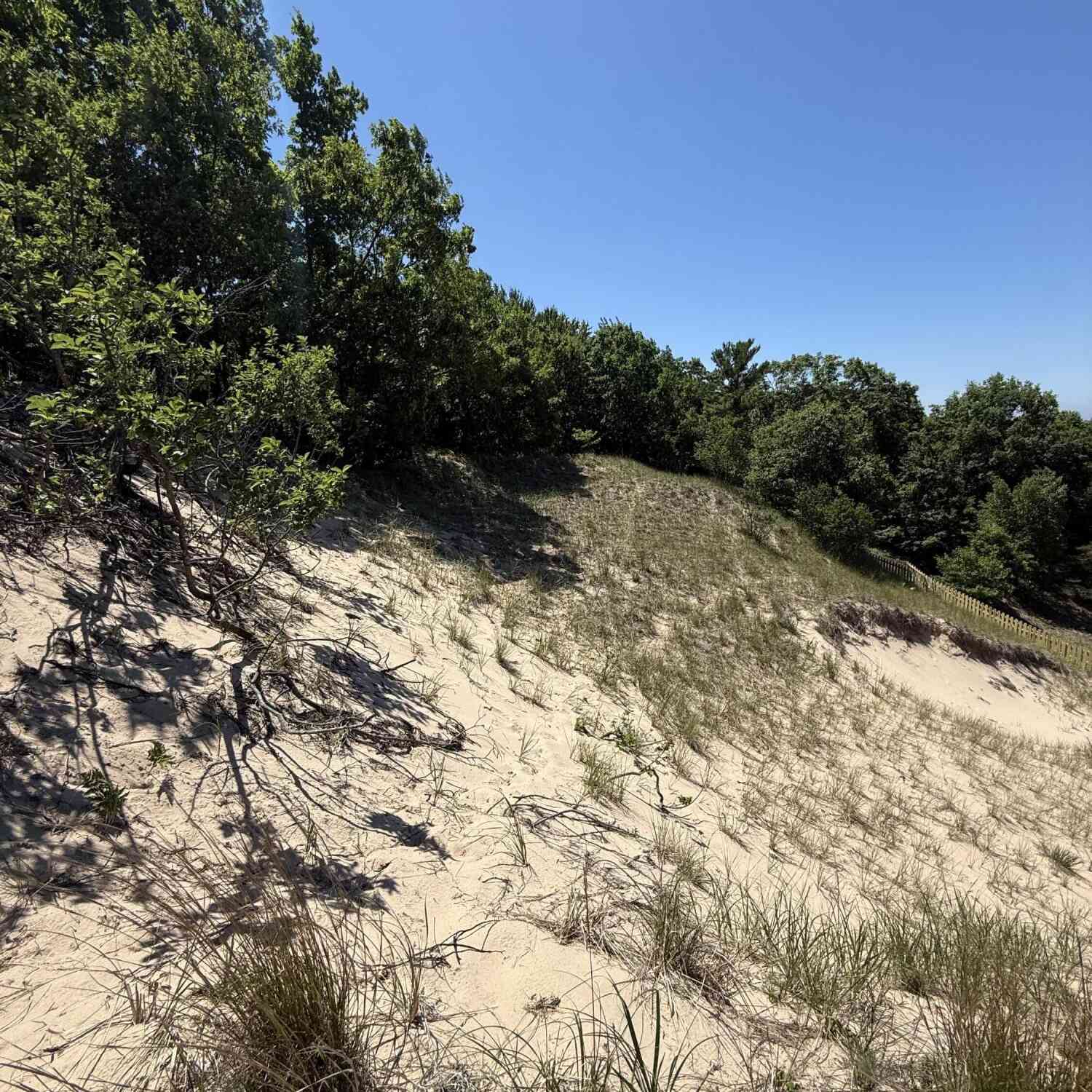 Vacant Land For Sale - LOT #313 Erie Trail<br/> Shelby, MI 49455