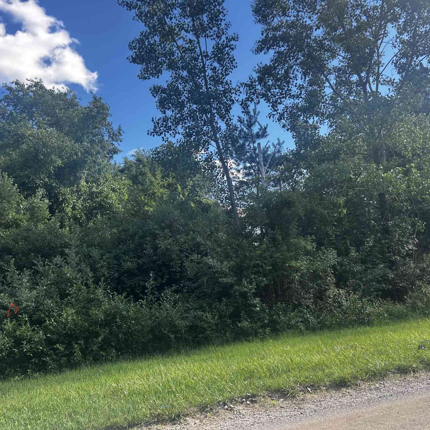Vacant Land For Sale - W Ranger Road #119 LOT<br/> Gratiot County, Perrinton, MI 48871