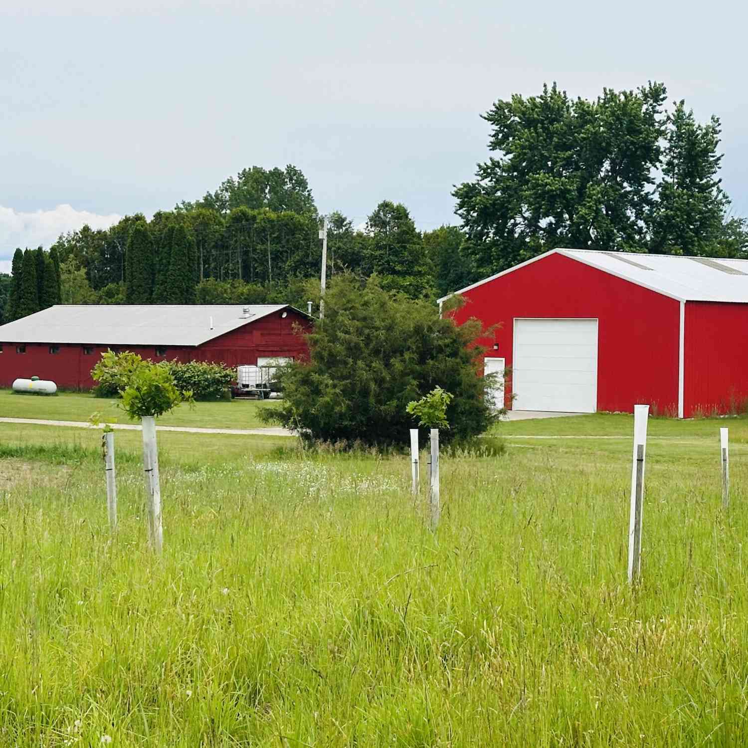 Vacant Land For Sale - 5372 Milarch Road<br/> Manistee, MI 49660