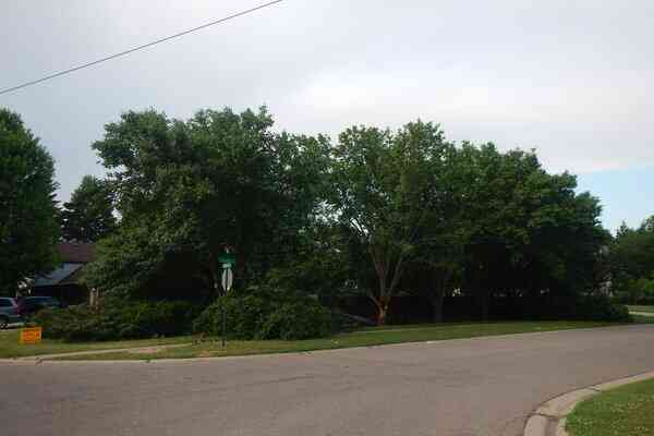 Vacant Land For Sale - VL NORTH Demorrow Road<br/> Stevensville, MI 49127