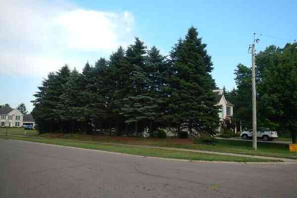 Vacant Land For Sale - VL SOUTH Demorrow Road<br/> Stevensville, MI 49127