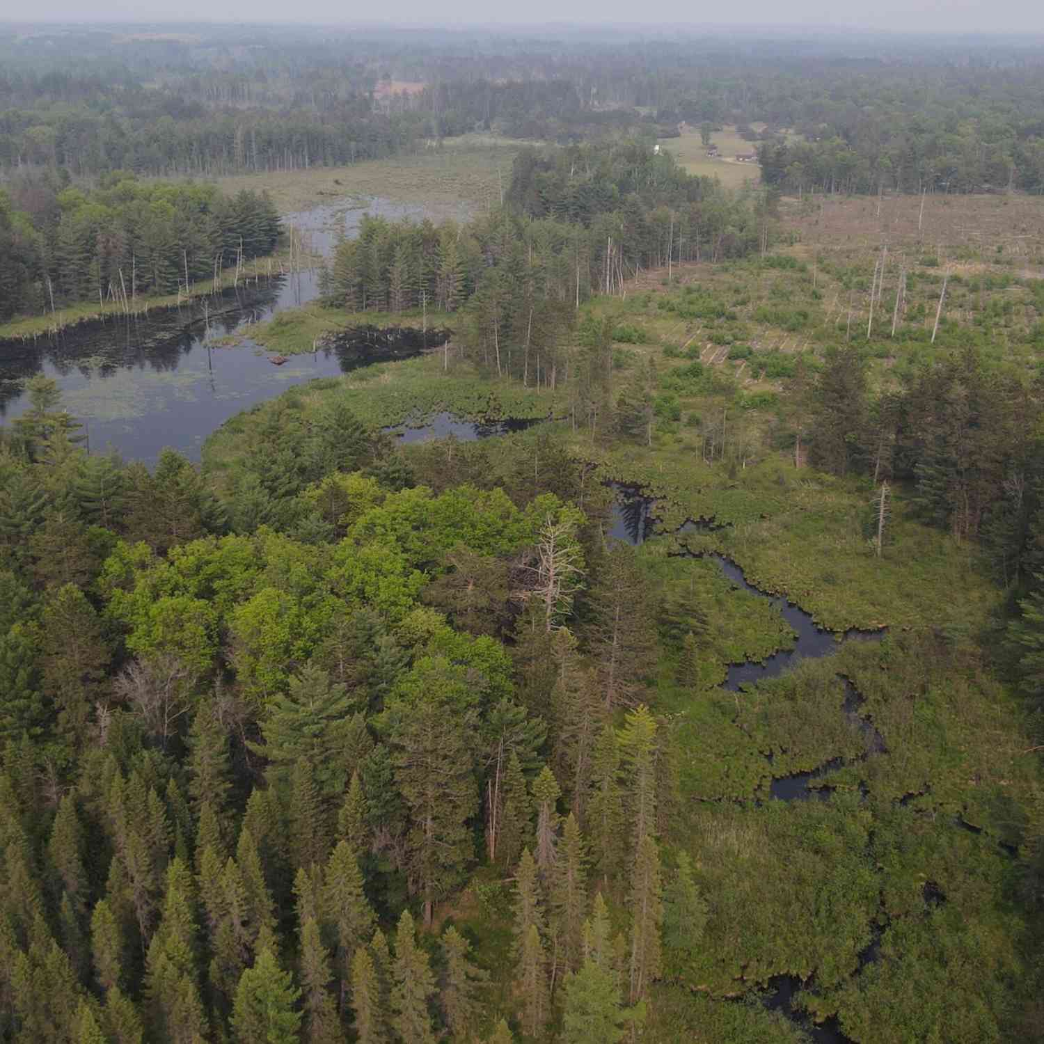 Vacant Land For Sale - PARCEL B Cherry Creek Trail<br/> Crawford County, Grayling, MI 49738