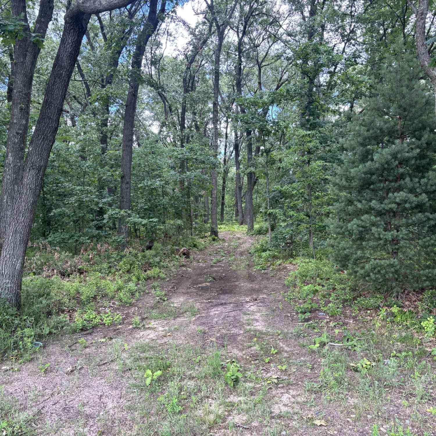 Vacant Land For Sale - VL E Laketon Avenue<br/> Muskegon, MI 49442