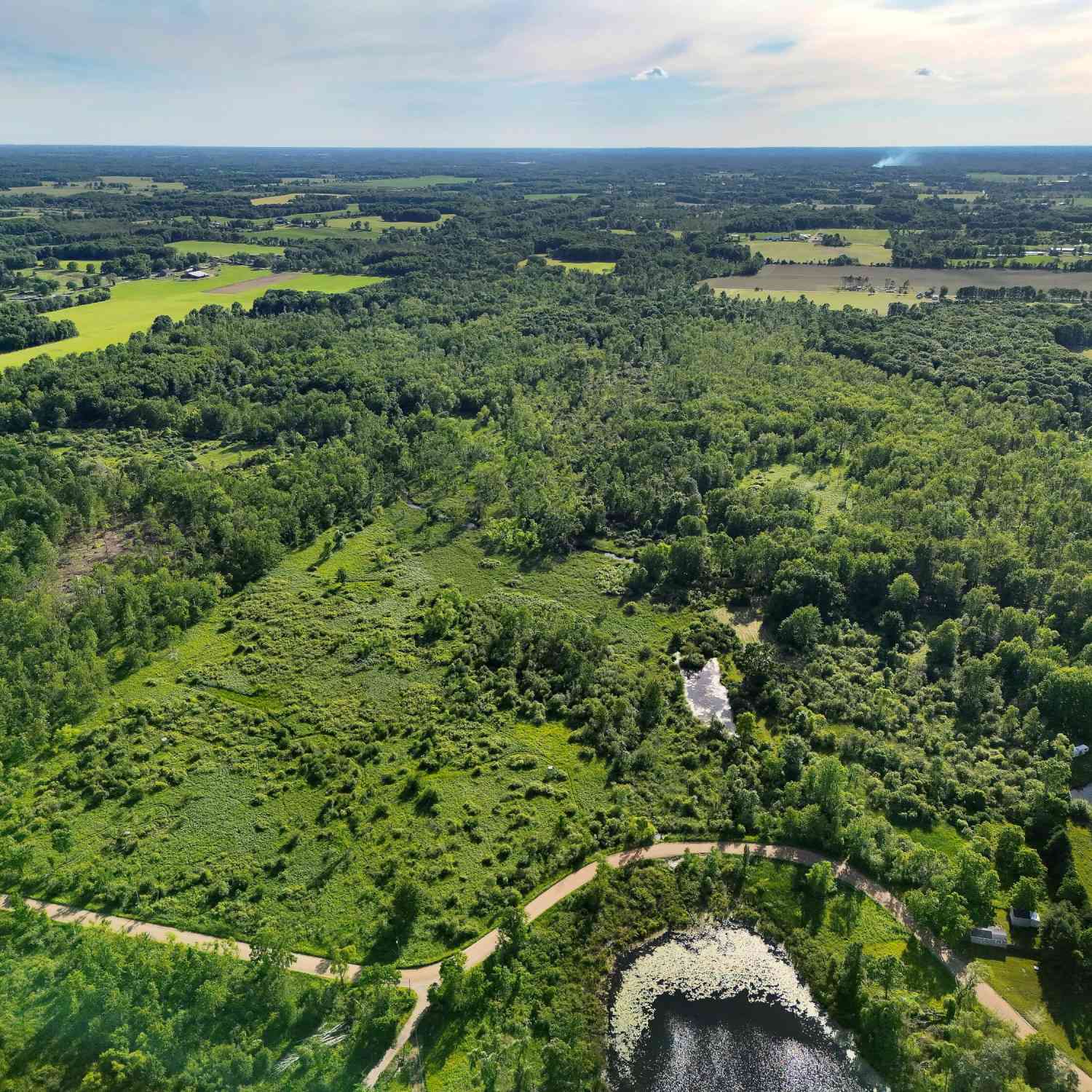 Vacant Land For Sale - 10288 Cedar Lake Road<br/> Montcalm County, Fenwick, MI 48834