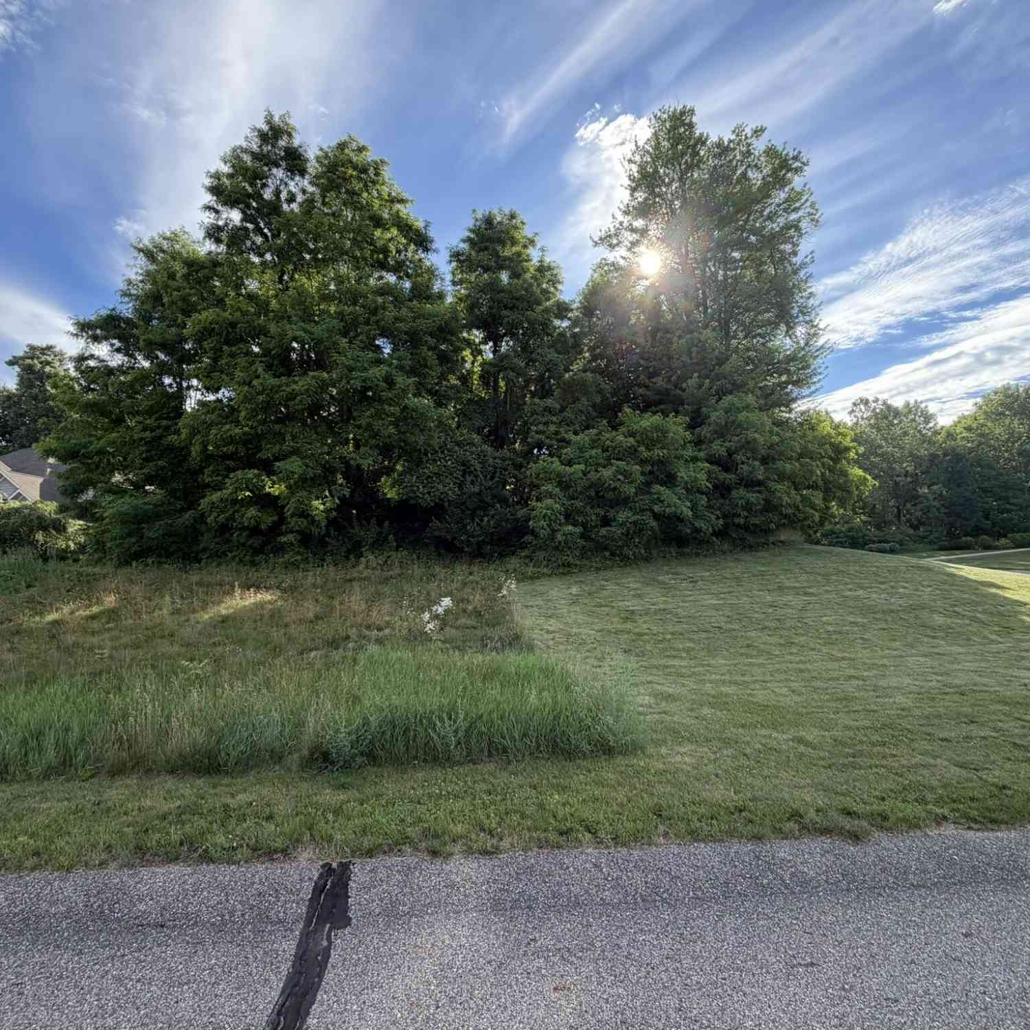 Vacant Land For Sale - 7326 Donald Ross Street<br/> Augusta, MI 49012