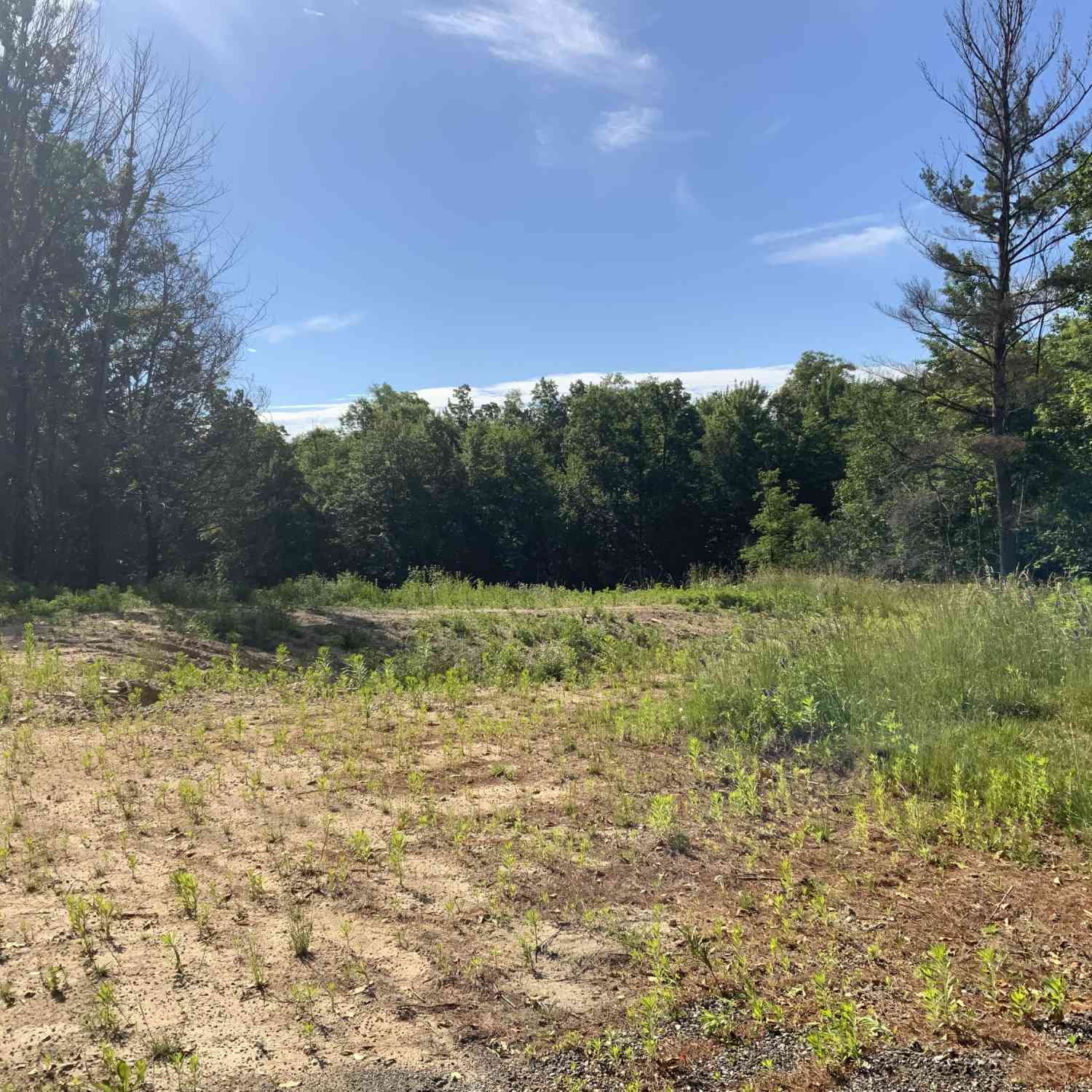 Vacant Land For Sale - 16000 Force Avenue<br/> Cedar Springs, MI 49319
