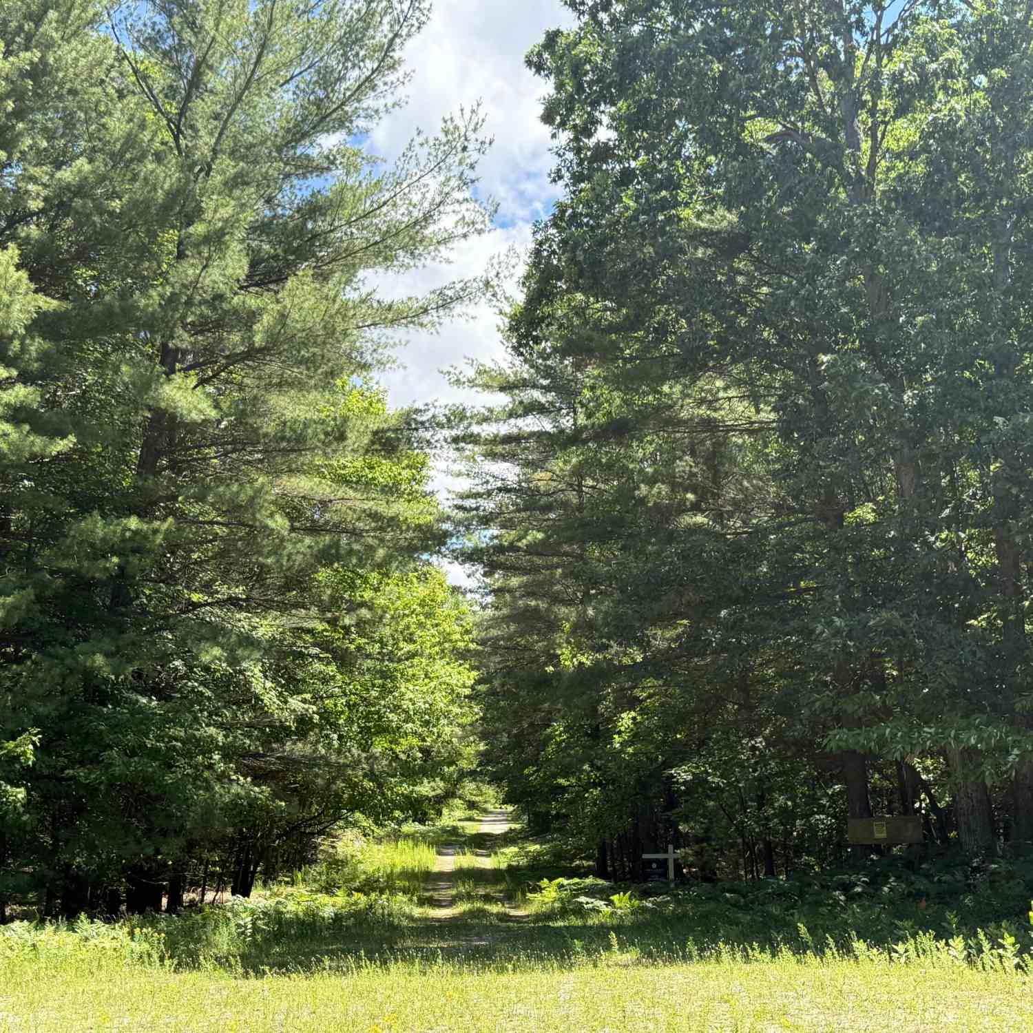 Vacant Land For Sale - 3.75 ACRES Wayne Road<br/> Pentwater, MI 49449