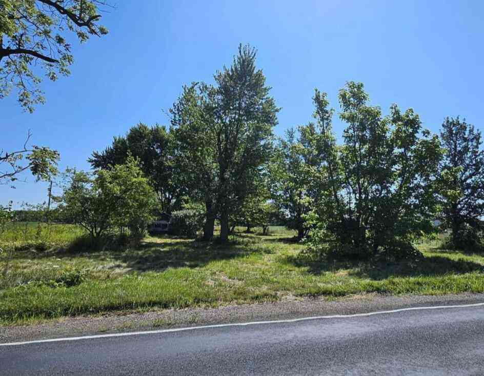 Vacant Land For Sale - 2609 S Ionia Road<br/> Eaton County, Bellevue, MI 49021